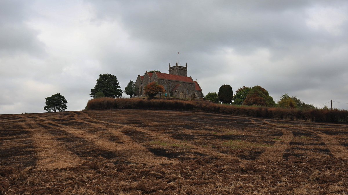 Paddy 🇮🇪 tweet media