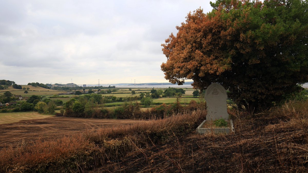 Paddy 🇮🇪 tweet media