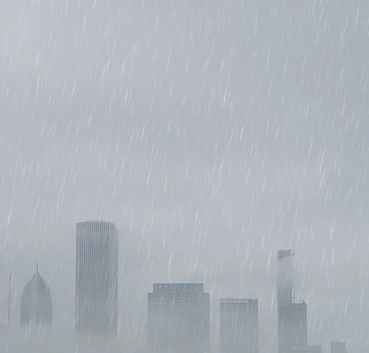 Elias Shaefer tweet media