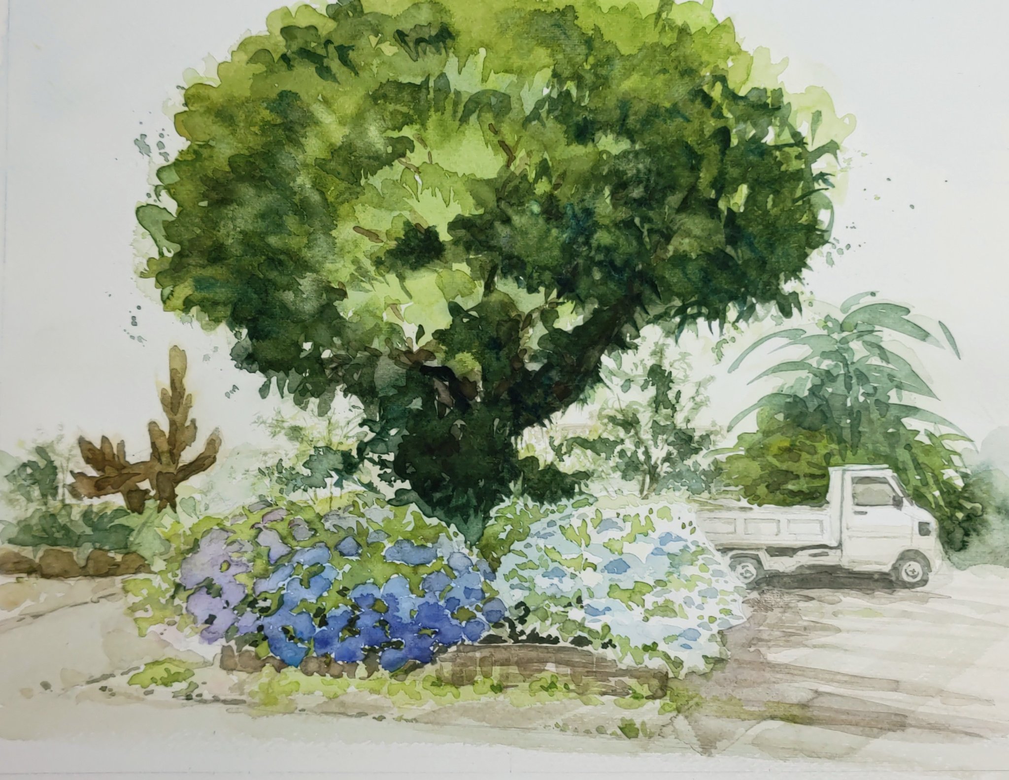 純正買取 水彩画です絵のみの値段です 絵画 タペストリ