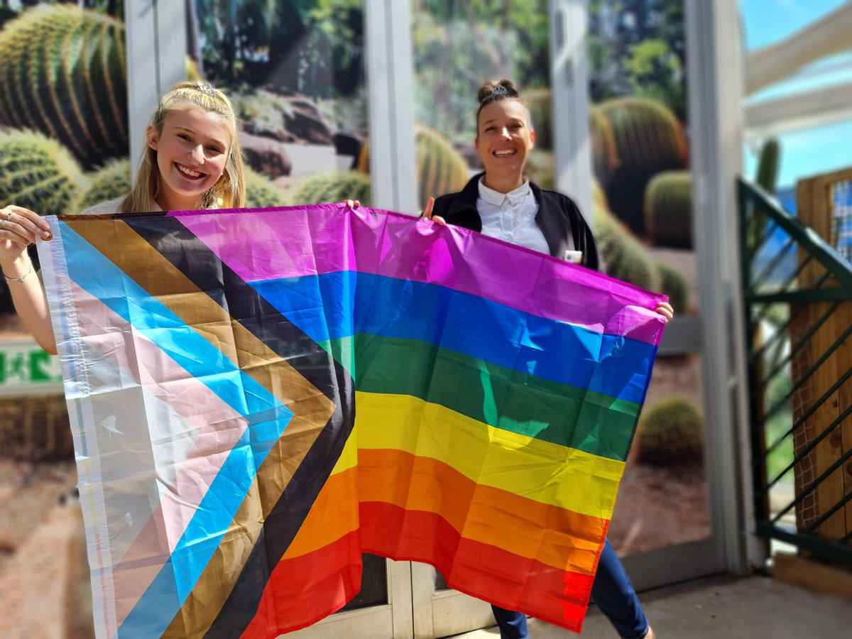 Plantasia6's tweet photo. We are proud to support @pridecymru π³οΈβπ
Please come and see us and a few of our animal friends in the family area this Sunday 28th August π
#loveislove #wales #PrideCymru #CountdownToPride #uniqueandunited #growyourimagination https://t.co/u7fvBH4ep3