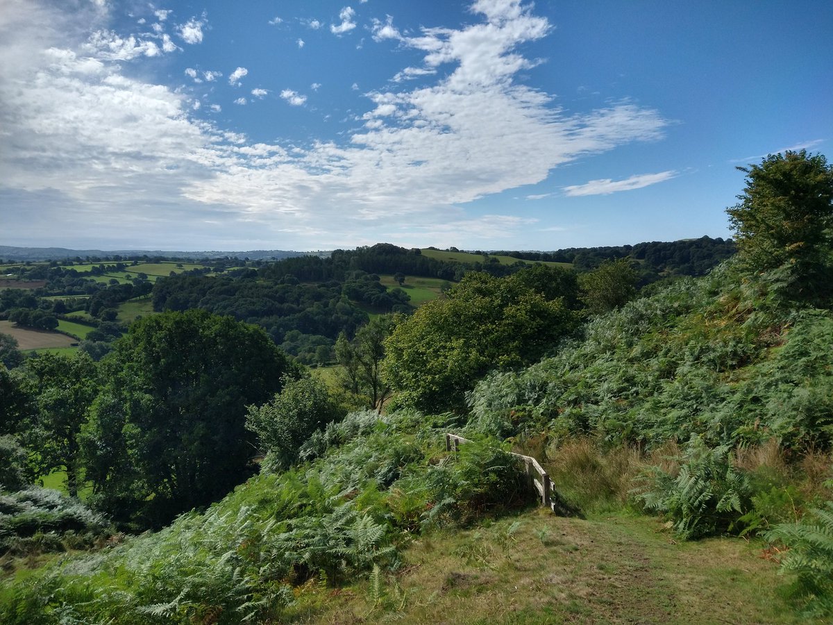 PaulTubb1's tweet photo. Mid Wales again today for Day 2 of a visibility survey for @TetraTechEurope #leadingthroughscience https://t.co/sjgqVnwcoo