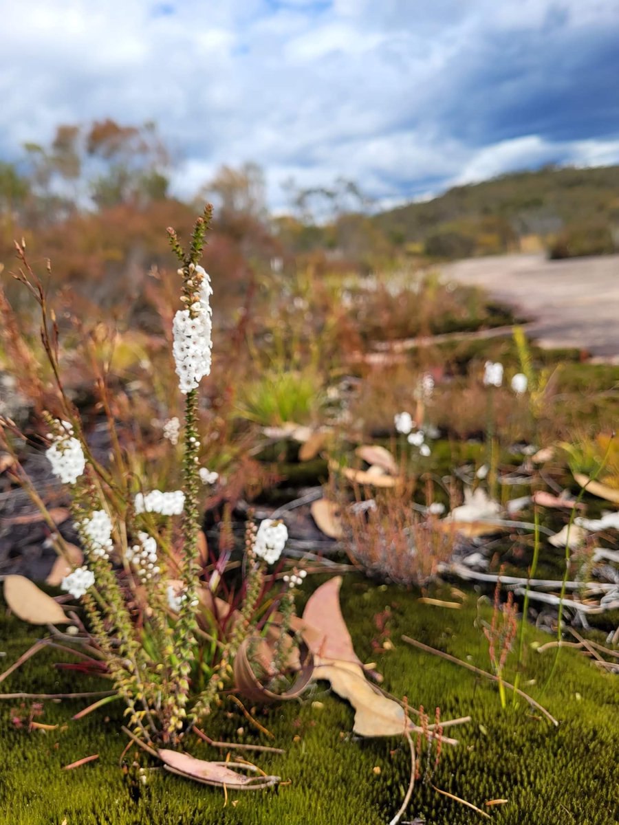 Nicole De La Mata tweet media