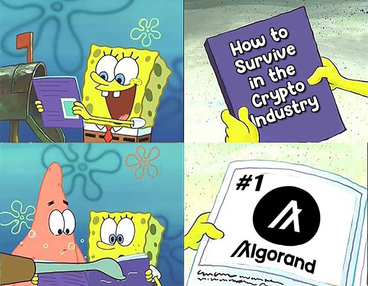 BuffedByAlgo's tweet photo. Here are some of the most innovative projects in the music space on Algorand:
@Dequency_io @opulousapp @napster
But how is it all possible? Gotta Dig deep here https://t.co/bI9QfRsqqB