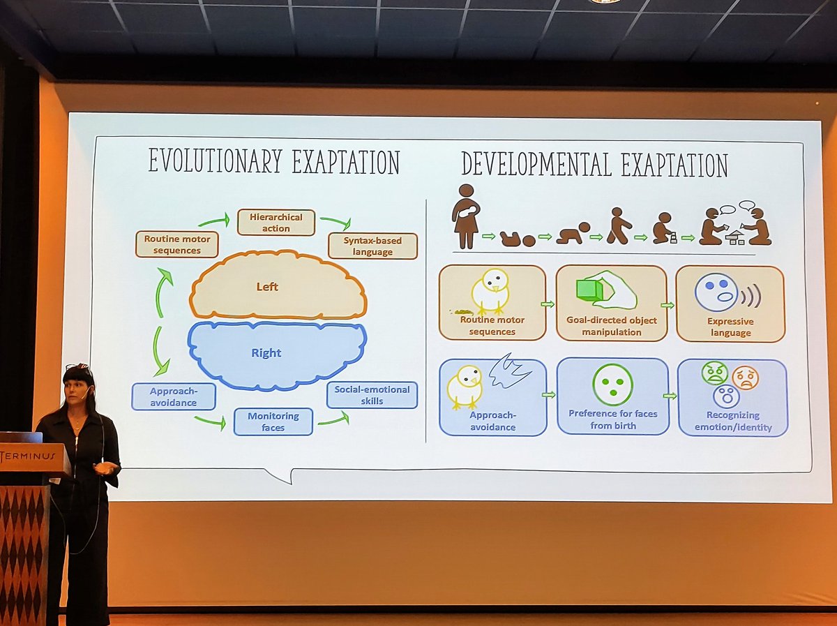 ElisaFrasnelli's tweet image. Wonderful and inspiring talk by @ForresterGilly at #laterality2022 conference in Bergen. #handedness #laterality #evolution #development