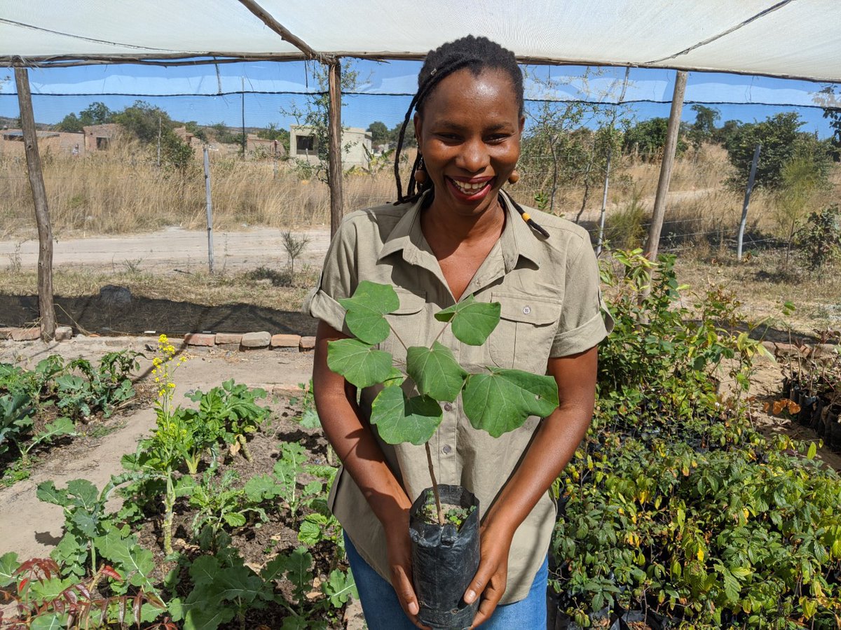 UNDPZimbabwe's tweet photo. “I want to see sustainable development that is profitable to everyone...not wealth built on the abuse of natural resources at the expense of communities.”

Climate justice advocate @swmupara speaks on the climate crisis &amp; our best hope to address it.

➡️https://t.co/tfXchow8ON https://t.co/VqiOimKJj5