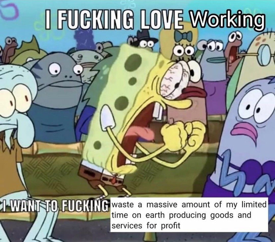 No time for memes