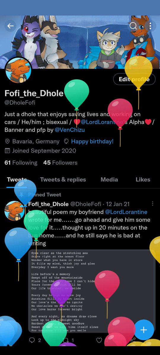 Fofi_the_Dhole tweet media