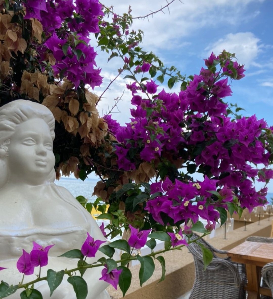 Kadınlara ancak asalet ve şeref sahibi kimseler değer verir..
#HzMuhammed(s.a.v)