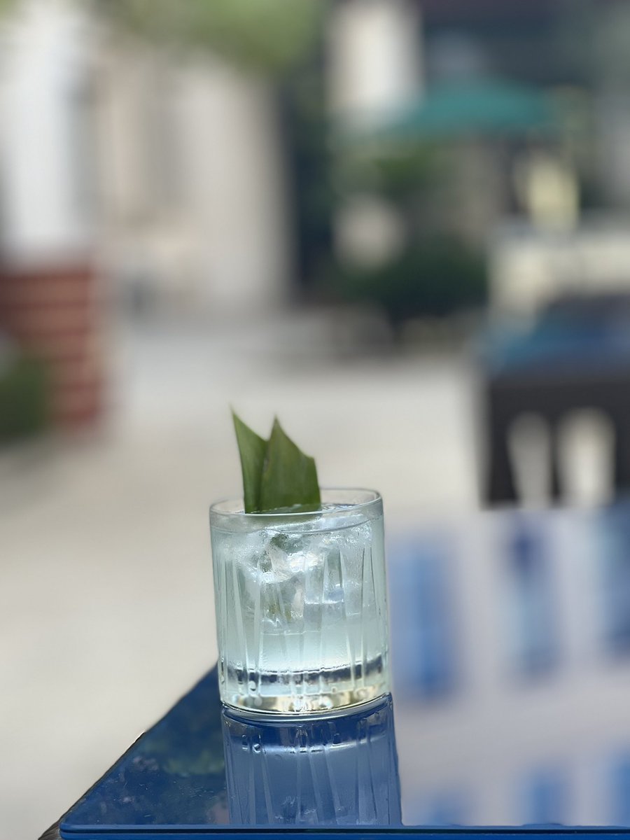 westinvalencia's tweet photo. Recipe for a perfect evening:
friends & signature cocktails 💙🍸#Seabar #thewestinvalencia #mixologist https://t.co/jZPnHOdIAU