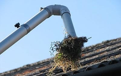 Are ur gutters full of plant life or just over flowing with all the rain water?  We can reach up to the 4th floor to clean out ur gutters &amp; to clean ur windows. Tex us on 07387580797 we cover #e2 #e3 #e5 #e6 #E7 #e9 #e10 #e11 #e12 #e13 #e14 #e15 #e16 #e17