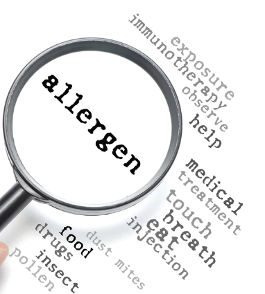 Een consumentgericht allergenenbeleid richt zich in eerste plaats op het toegankelijker maken van voedingsmiddelen voor iedereen, inclusief mensen met een allergie. Zonder daarbij een risico te vormen voor deze consumenten. Lees meer >> flandersfood.com/nl/artikel/202…