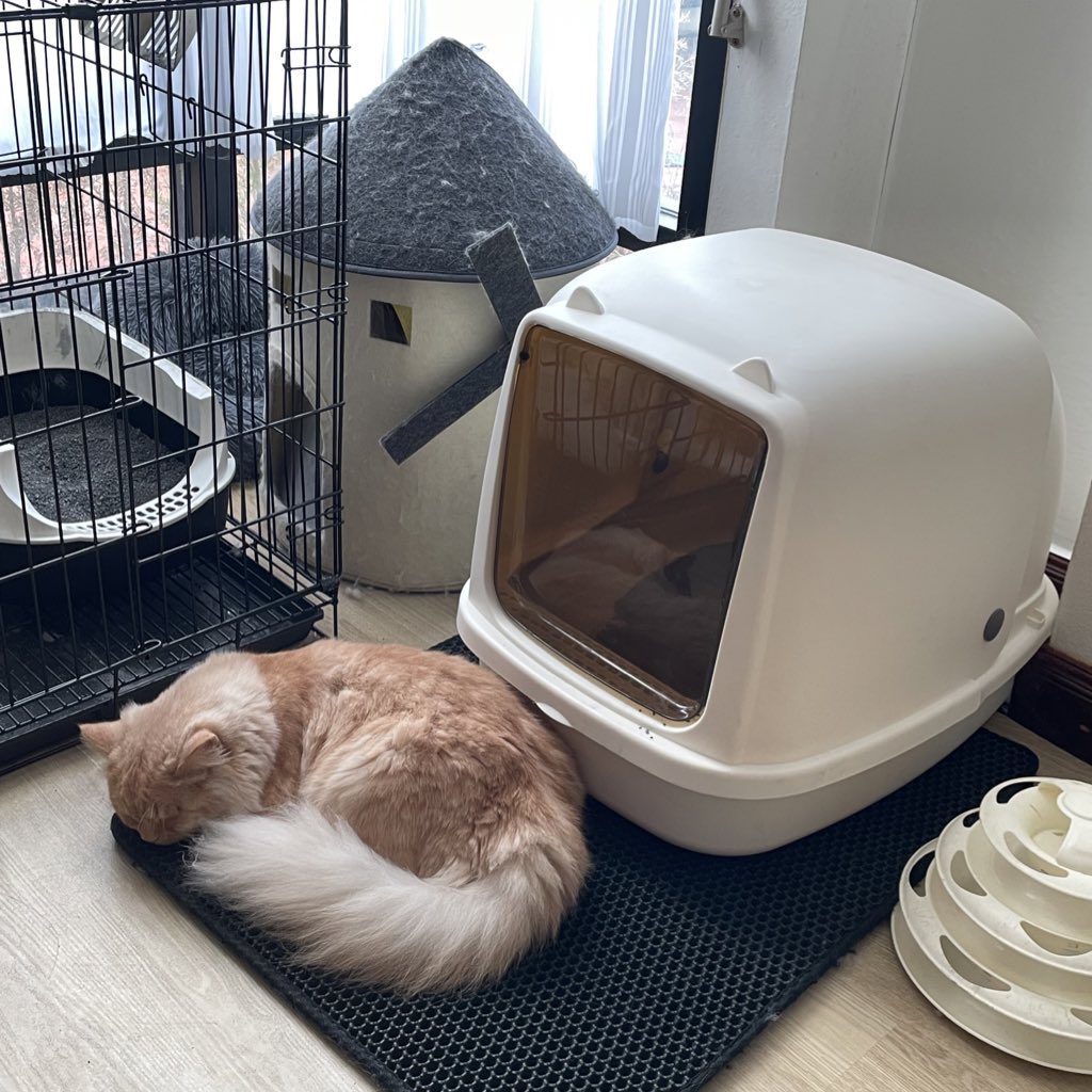 #NFT                          Live action