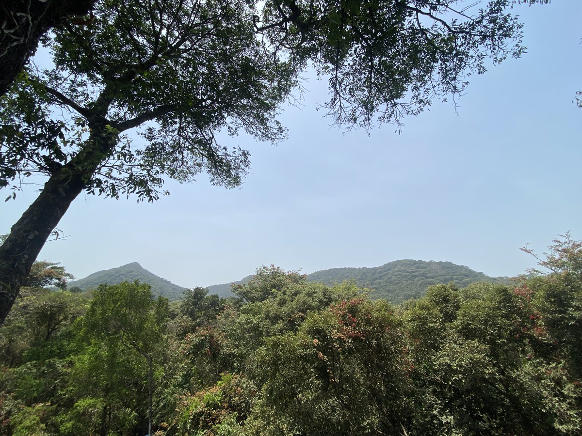 Clare Donaldson tweet media