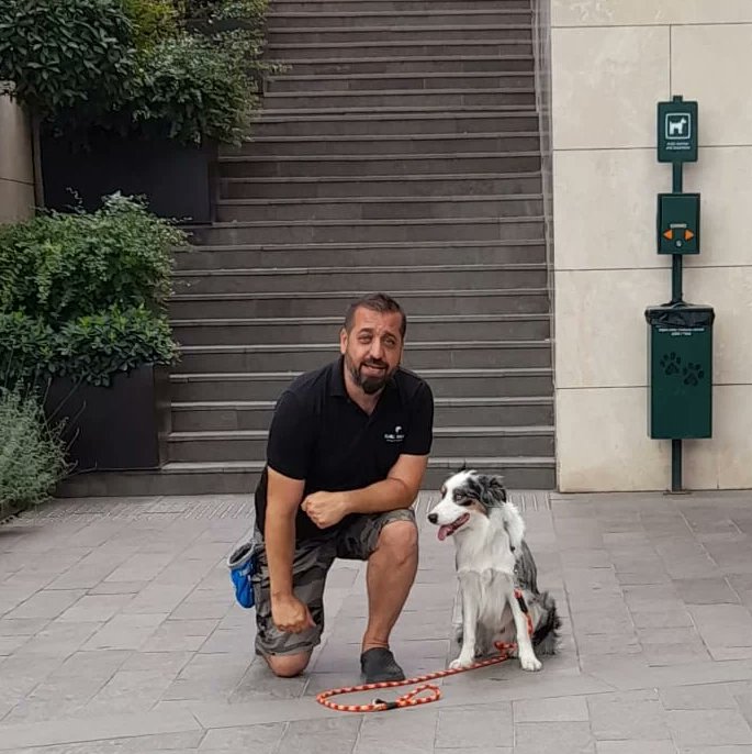 dogtrainer_burc's tweet photo. 1- Can Dostum Ice ile alış beriş merkezi sosyalizasyon ziyaretimizden kareler...

#köpekeğitmeni #köpekeğitimi
#burçbakan #burçbakanofficial #bordercollie
#sosyalizasyon https://t.co/WAqQVJ1uQZ