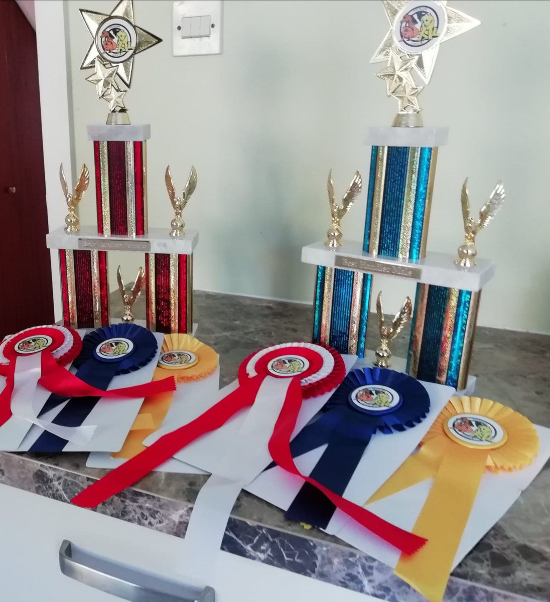 ISPCA Wicklow tweet media