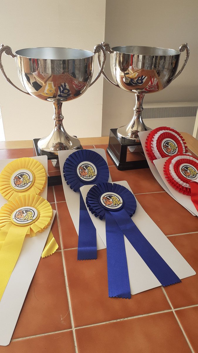 Dog Show this Sat. Lots of prizes to be won including best junior handlers and best rescues. Trophies kindly sponsored by Liz.