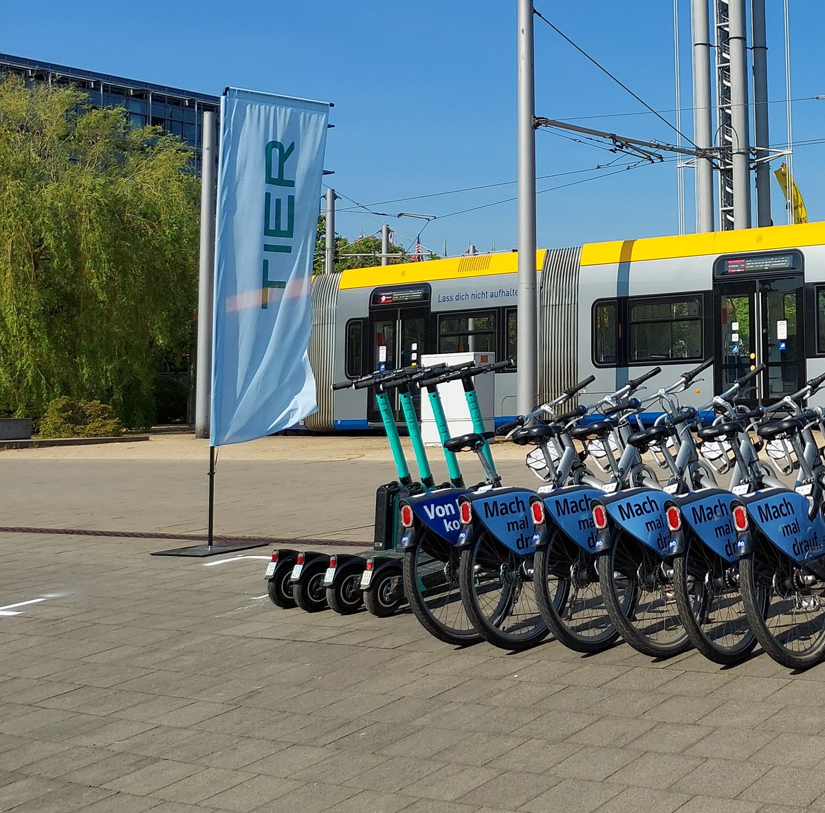 Peter Griffiths ∞ tweet media