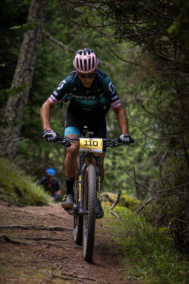 SCOTT CALA BANDIDA tweet media