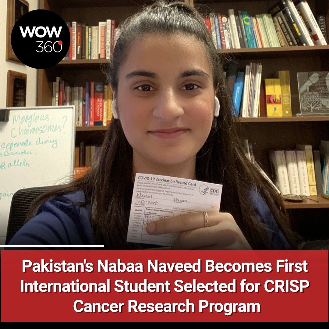 WOW360PK's tweet photo. US-based Undergraduate Student @NabaaNaveed has become the first international student to be chosen for the CRISP Cancer Research Program.
https://t.co/GBpkh2r4fQ
#CRISP #CancerResearchProgram #UnitedStates #NabaaNaveed @uabmedicine @UABNews https://t.co/jEkF2pnXfz