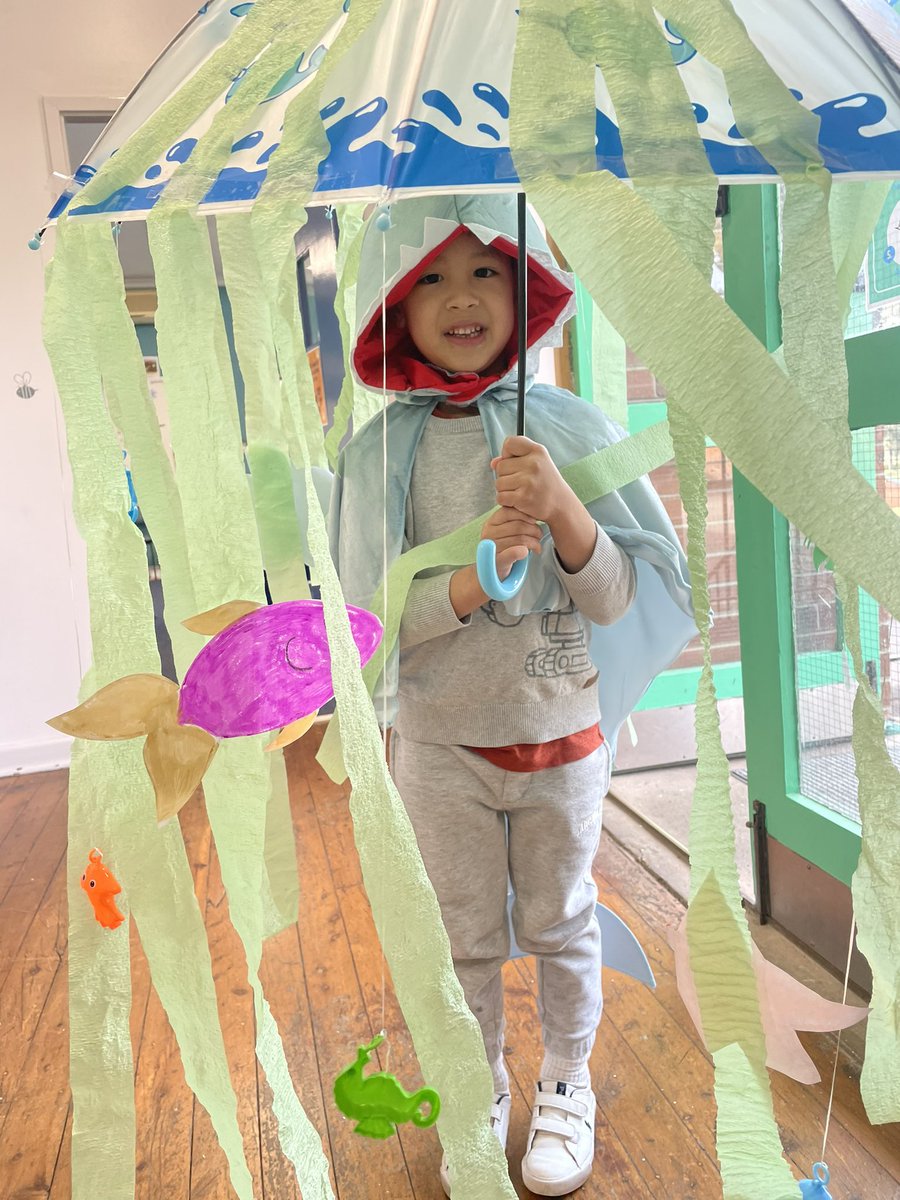 Jennifer Bradshaw tweet media