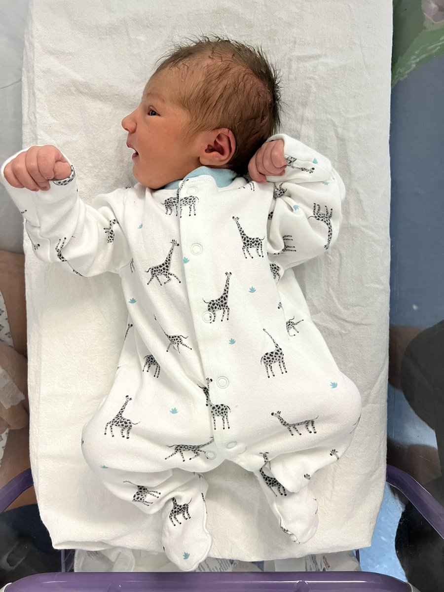 Cat Drew tweet media