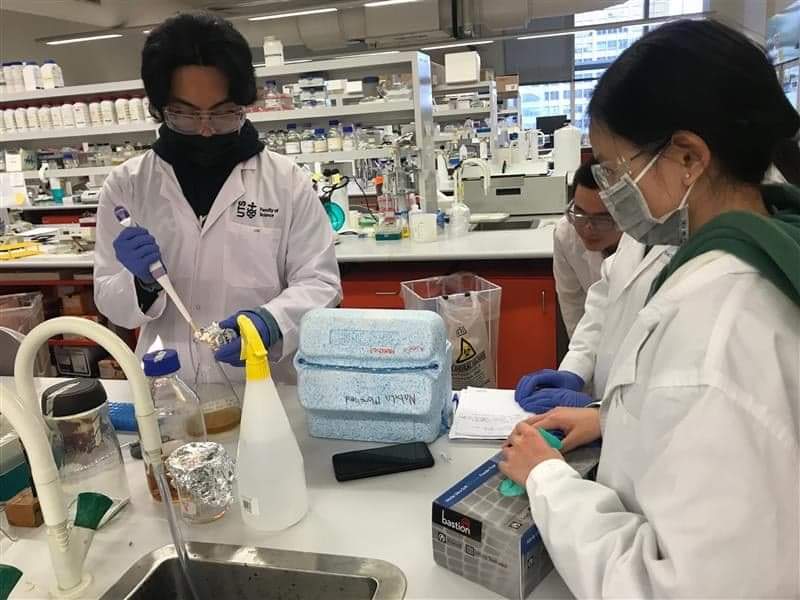 Yay fam 👋 We're the <a href="/UTS_Science/">UTS Science</a> team in the <a href="/SynBioChallenge/">AusSynBioChallenge</a>! 

Our project explores the use of protein #nanoparticles for #vaccines 💉

Today, we're making recombinant proteins! It's cool how we can engineer microbes to make stuff 🔧🧬 

Follow to see our #synbio journey 😀