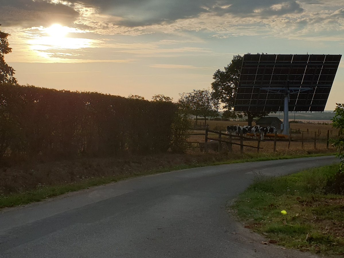 8h Ruillé, le soleil se lève sur une nouvelle génération de tournesols... les agriculteurs au rendez vous du développement durable !