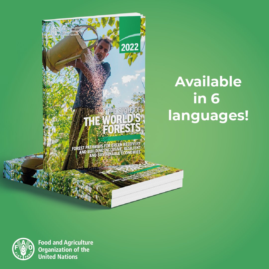FAOForestry's tweet photo. Download the State of the World's Forests 2022 in 6 languages!

👉https://t.co/31VQYPbCsJ 

#SOFO2022 https://t.co/gDo0oHuUmX