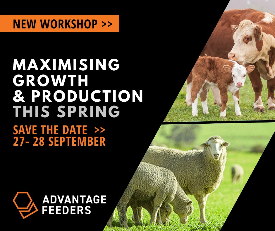 NEW WORKSHOP Maximising Growth &amp; Production for Sheep &amp; Cattle this Spring 
A thought-provoking morning with industry experts, nutritionists &amp; leading agriculture brands

Register advantagefeeders.com.au/events/worksho…

Details
27 &amp; 28th Sept
8:30am – 1:30pm w/ optional pasture tour 
Burrumbeet