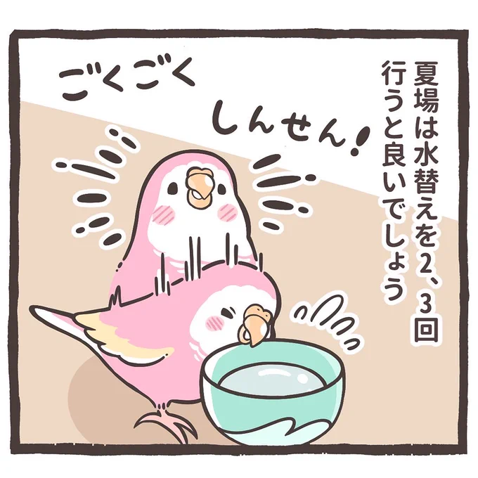 インスタにトリ扱い説明書をアップしました⤴️

こちらから読めます💁‍♀️
↓↓
https://t.co/Eae2zZgszM

私のなりすましは皆さんの通報のおかげで
消えてしまったようです🤲
ご協力ありがとうございます😭 