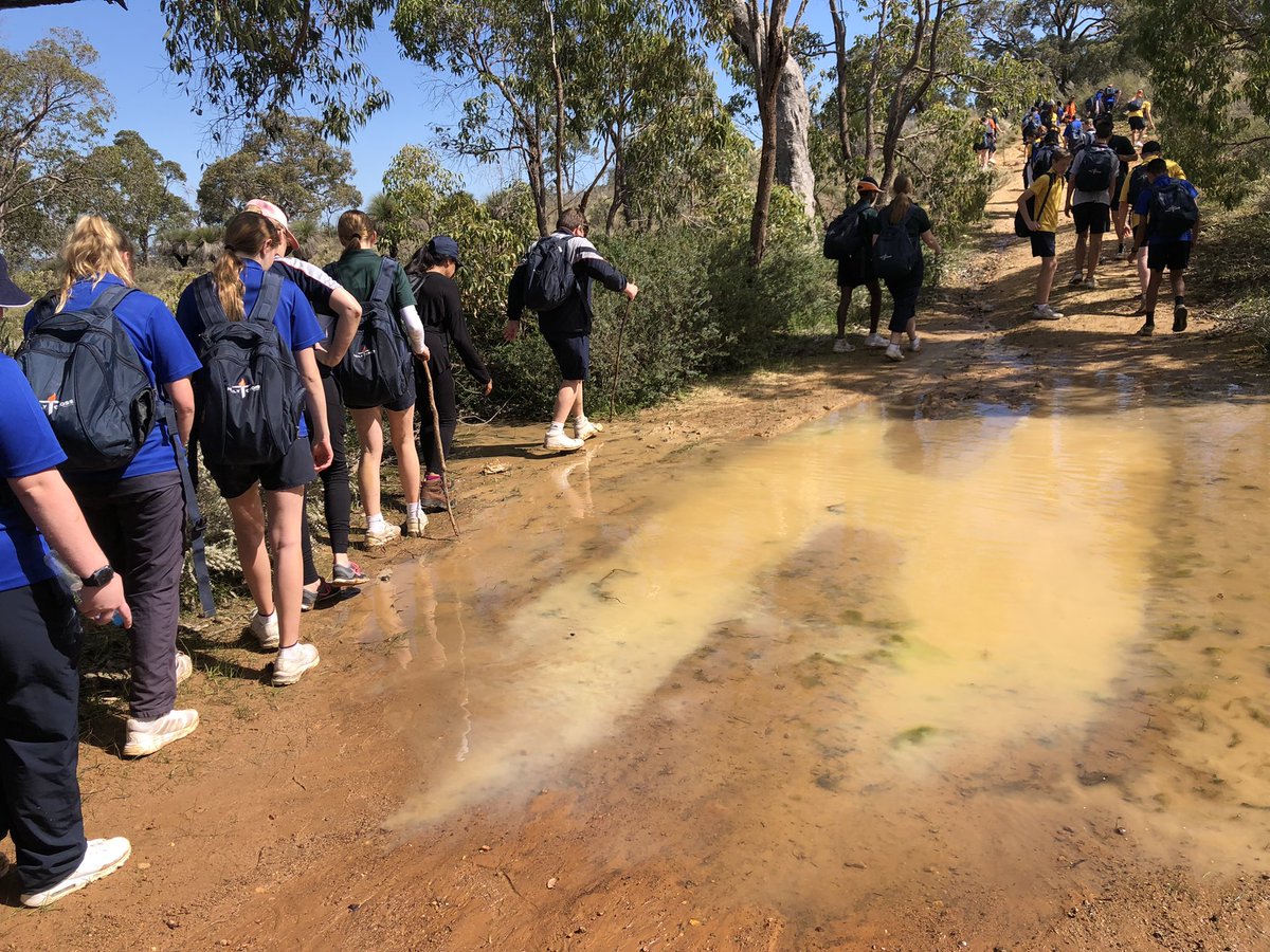 MuscaRoseanne's tweet photo. Year 8’s completed their muddy Camino from Bells Rapids to Shady Hills today #hccellenbrook https://t.co/1Puw89VNzy
