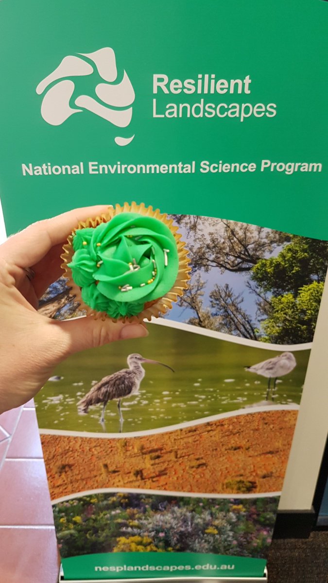 I didn't manage to bake an entry for the #TSBakeoff but I did make cupcakes to match the @NESPLandscapes banner.
