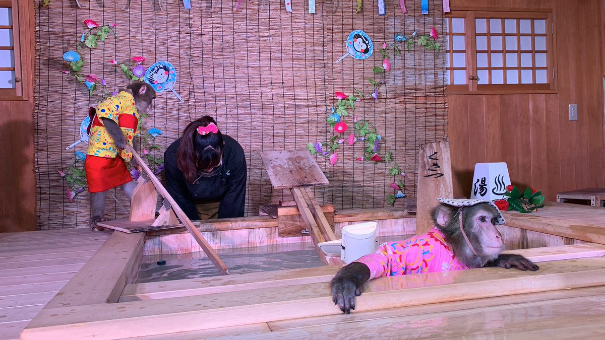 お湯使ってる猿さん！#おさ湯
