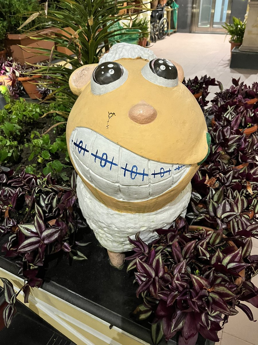 TheWickedHumor's tweet image. This #fugitive caught my #attention !!!
Who teases us in #counting him till 100 if beyond 100 #fails in cradling to 😴 you can start by #breaking its teeth 101 onwards🦷⚒️
#Wicked #ChiefEditor #DiyaSaini
#Entertainment 
#LaughingGas #Anime #NFT 
@diyaoutofbox