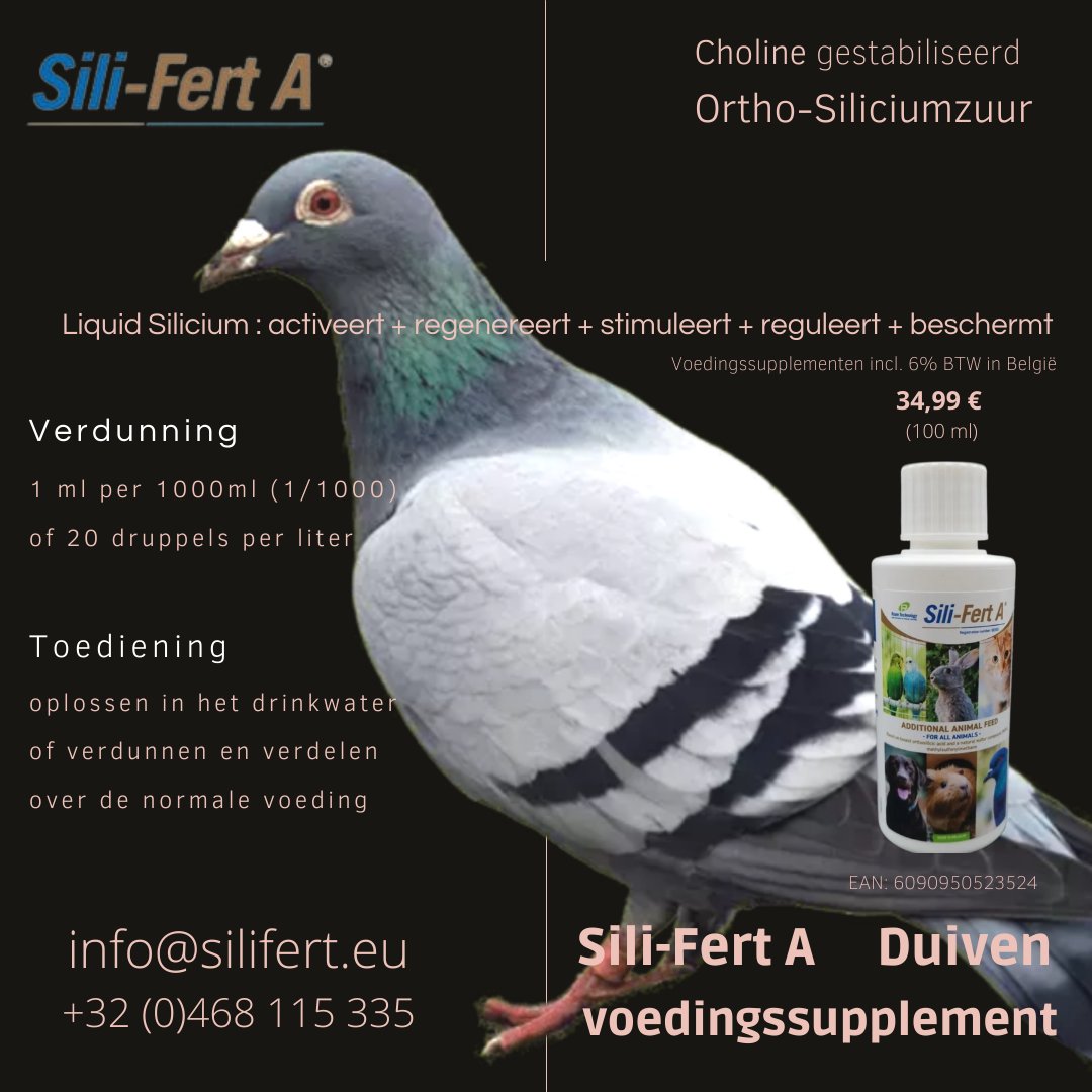 SeveriTechnolo2's tweet photo. Sili-Fert A is een uniek voedingssupplement o.b.v. Orthosiliciumzuur voor duiven en pluimvee...
.
https://t.co/S20myja42g
.
#duivenmelker #pigeons #pigeon #duif #duiven #SeveriTechnologies #liquidsilicium #siliferta #orthosiliciumzuur #orthosilicicacid #madeinbelgium https://t.co/DaRkcNYegi