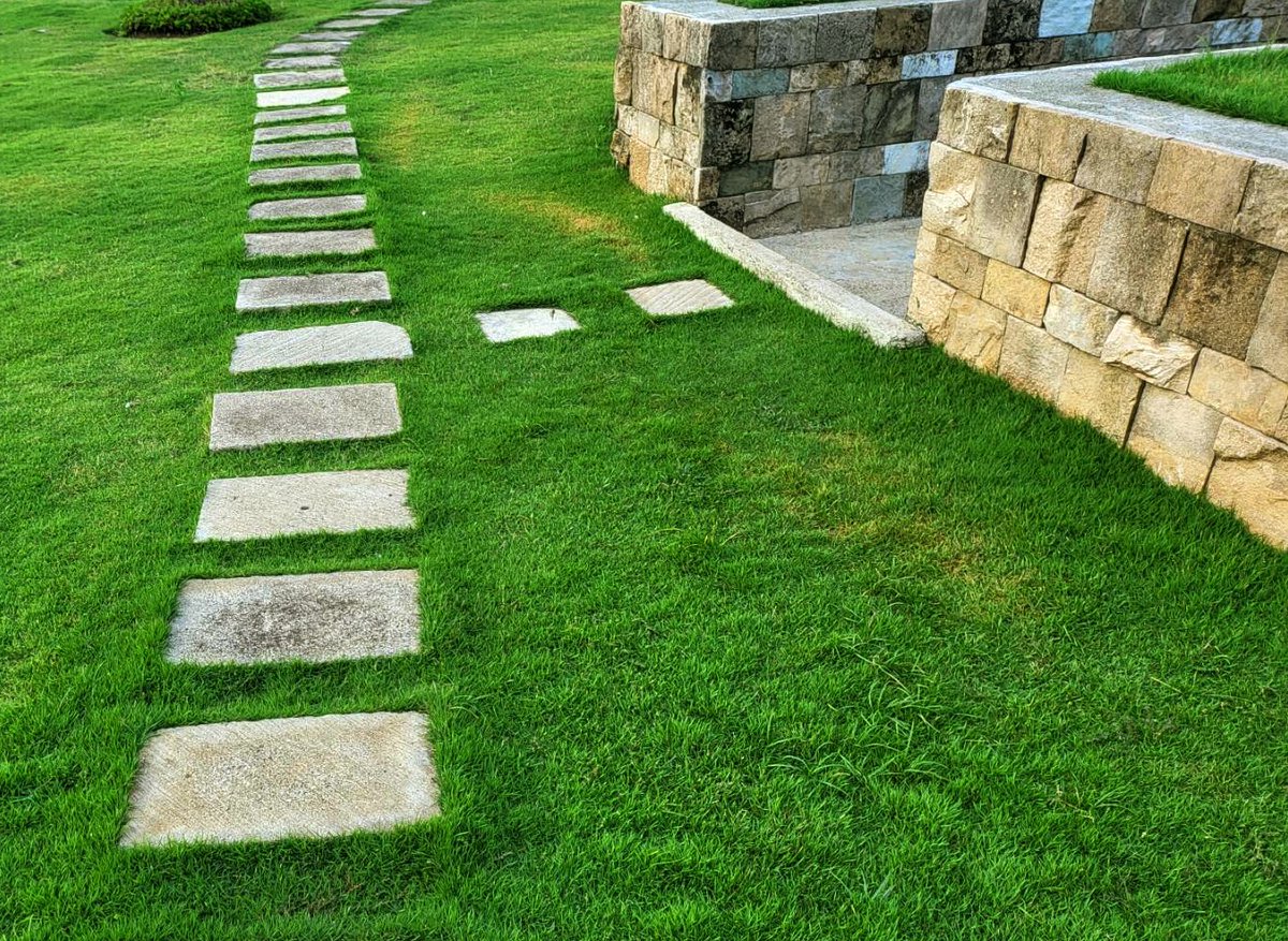 DreamYardTeam's tweet photo. Large square concrete paver slabs for walkways are easy DIY landscaping projects. They are simple and go with almost any other project.
#paverwalkway #walkwayideas #DIYlandscaping #paverpaths https://t.co/eo19vjyBbi