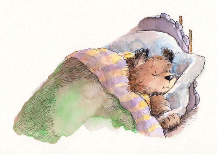 warmluvs's tweet photo. Paddington was fast asleep https://t.co/8Qglmy03Og