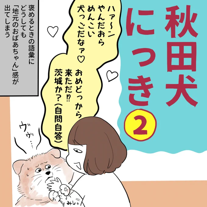~秋田犬にっき～ ハムちゃん時代からお世話になっている動物病院の先生がいつも優しくて頼りになります 