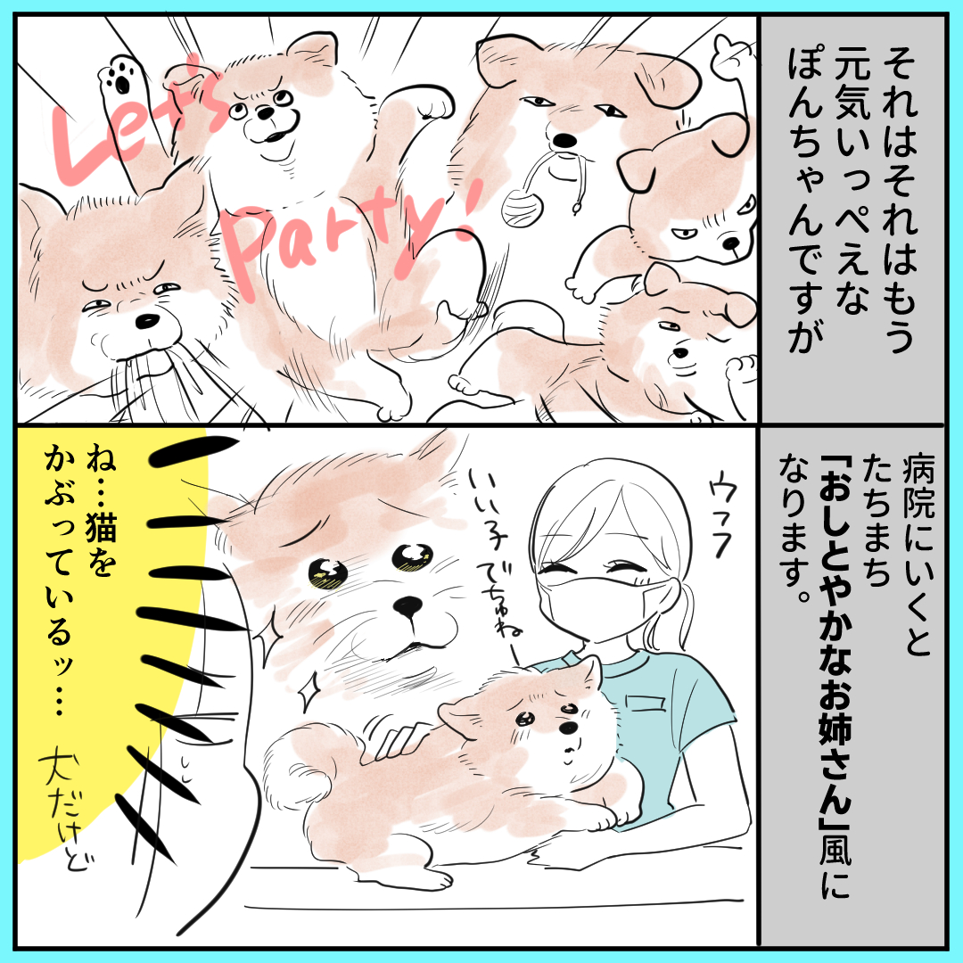 ~秋田犬にっき～ ハムちゃん時代からお世話になっている動物病院の先生がいつも優しくて頼りになります 