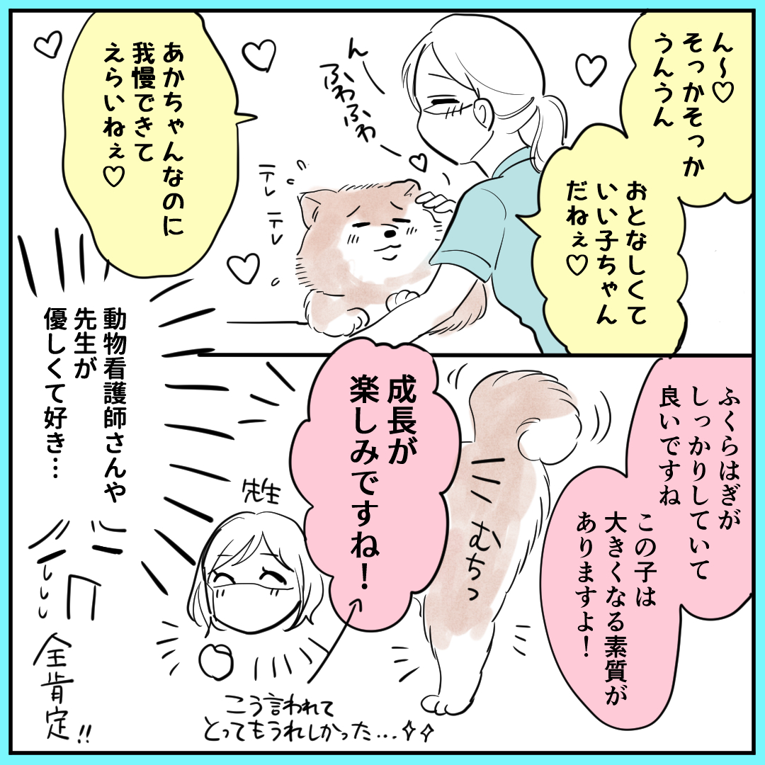 ~秋田犬にっき～ ハムちゃん時代からお世話になっている動物病院の先生がいつも優しくて頼りになります 