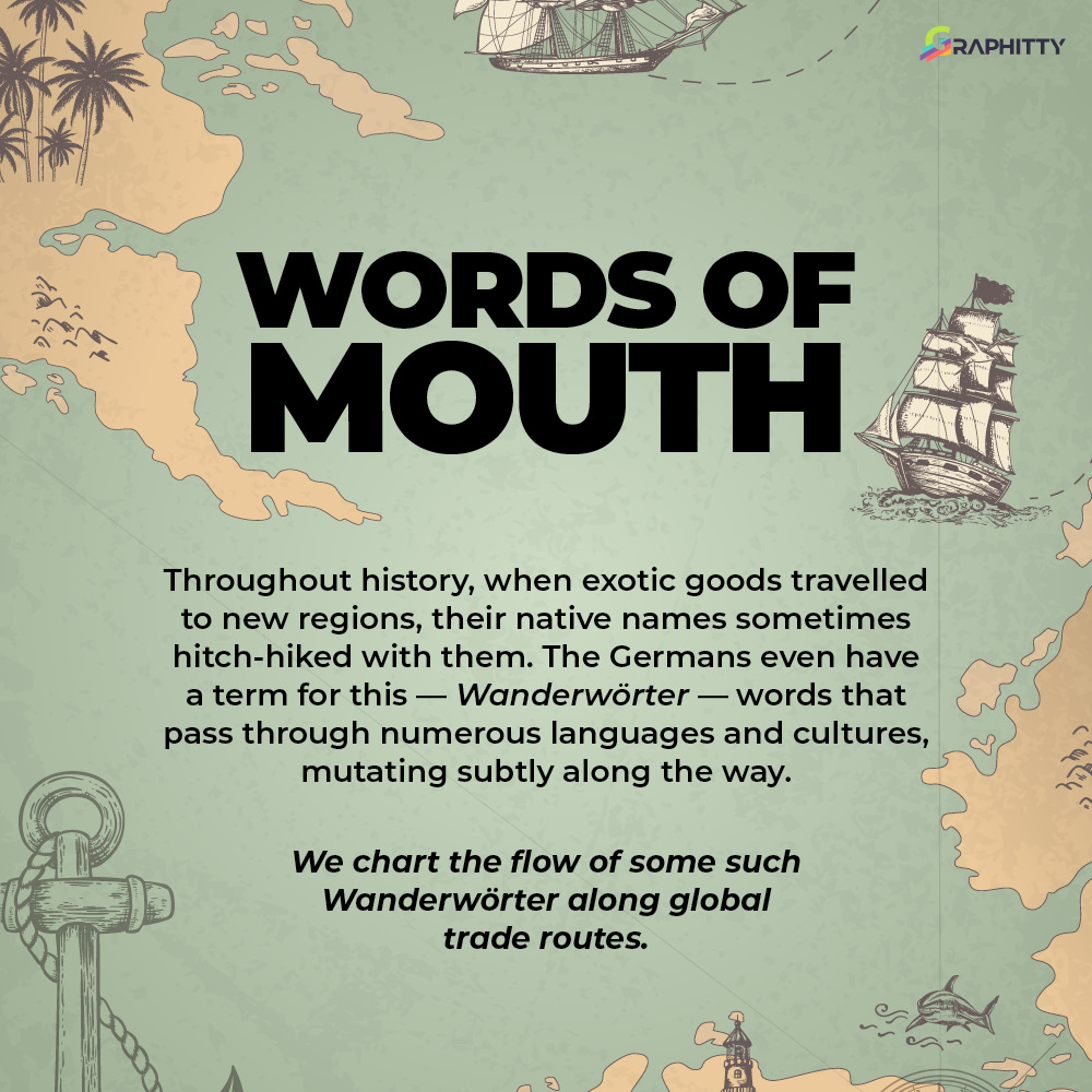 Graphityy1's tweet photo. Throughout #history, when exotic goods travelled to new regions, their native names hitch-hiked with them. Charting the flow of some along #global trade routes. #wordsOfMouth #languages https://t.co/RcT8Qzc0N6