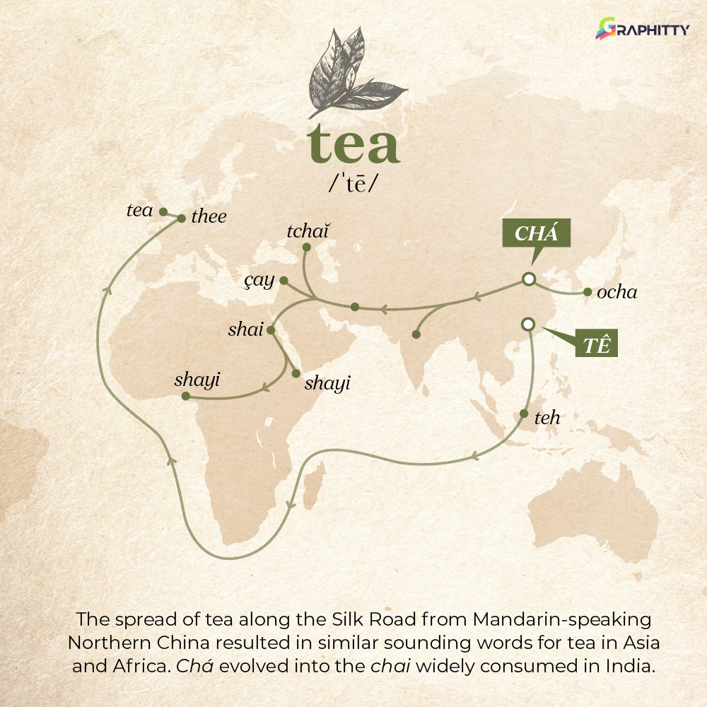 Graphityy1's tweet photo. Throughout #history, when exotic goods travelled to new regions, their native names hitch-hiked with them. Charting the flow of some along #global trade routes. #wordsOfMouth #languages https://t.co/RcT8Qzc0N6