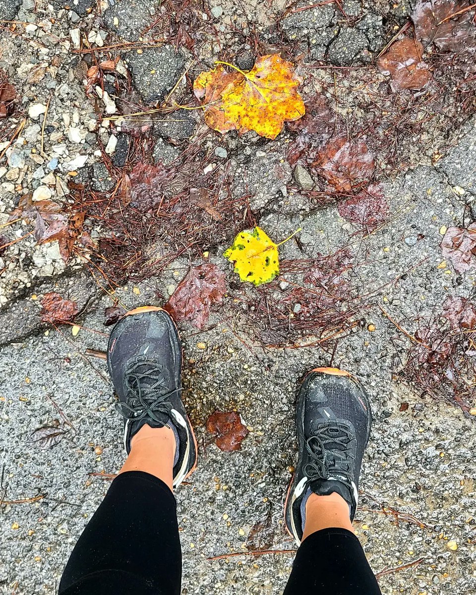 grammergorun's tweet photo. 3 rainy miles of hills &amp; yellow leaves on the ground reminding me that fall is near 💛 https://t.co/uym9Mi50C8
