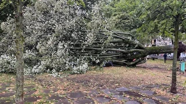 État de catastrophe naturelle reconnu pour <a href="/saint_etienne_/">Ville Saint-Étienne</a> annoncé dans le JO (legifrance.gouv.fr/jorf/id/JORFTE…). 

facebook.com/10000446781833…