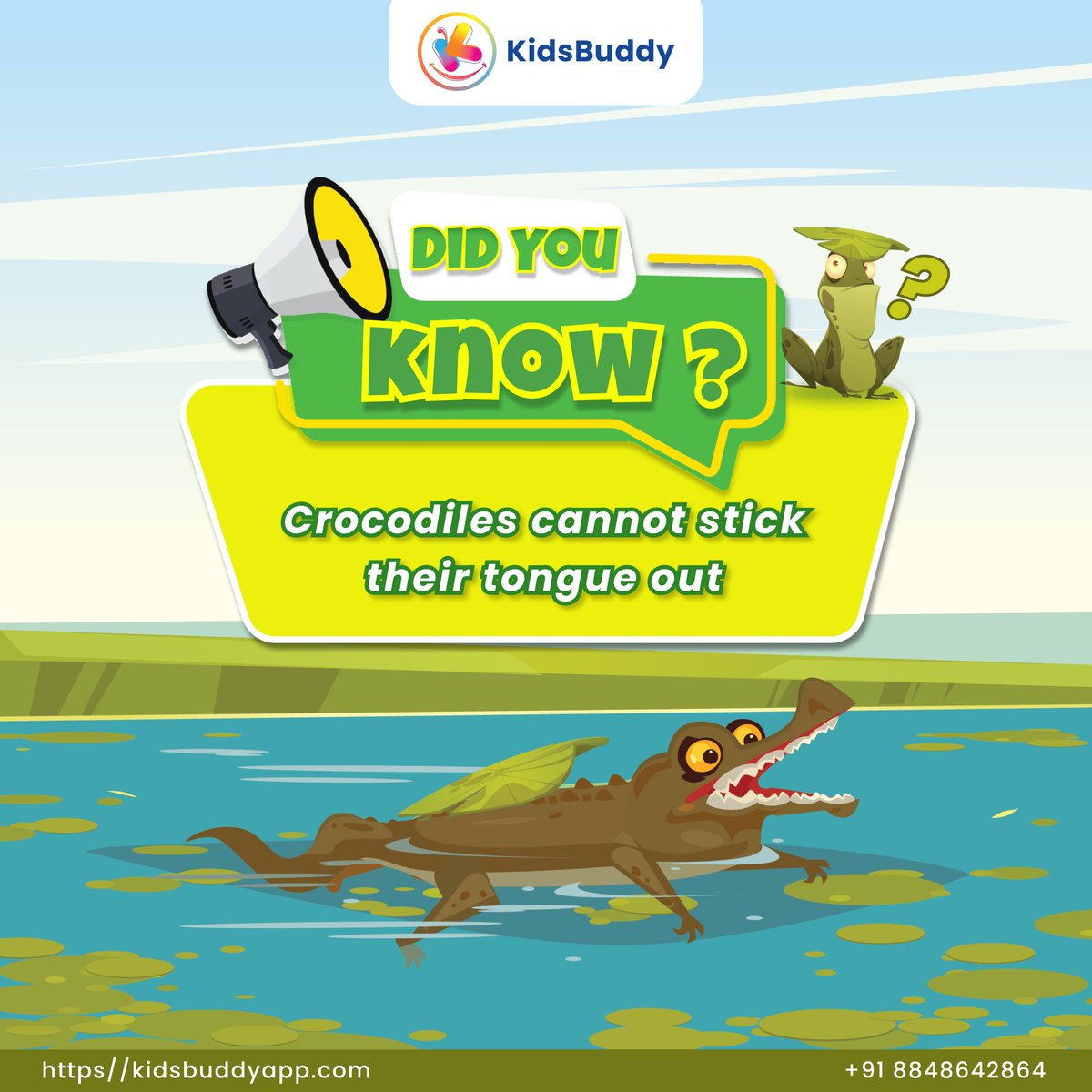 IndBytes's tweet image. 𝘿𝙞𝙙 𝙮𝙤𝙪 𝙆𝙣𝙤𝙬🐊
.
.
.
#kidsbuddy #mekidsbuddy #facts #fun #DidYouKnow  #DidYouKnowThis #didyouknowthat #crocodile