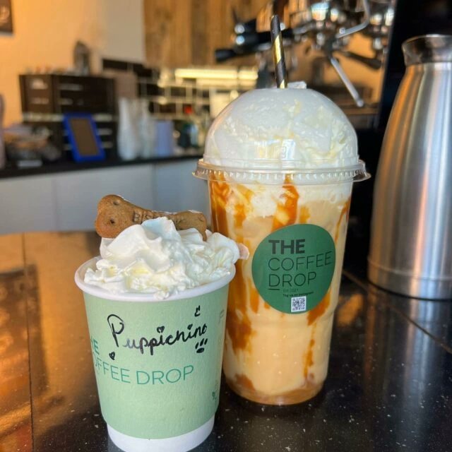 packthepooch's tweet photo. #dogfriendly speciality coffee shop based in Beaumont, Dublin 9. Open every day until 5pm. Free puppucino and treat with your coffee order 🐾🐶
✨️ Link in bio ✨️
.
#dogfriendlycoffeeshop #dogfriendlycafe #specialitycoffee #coffee #dogfriendlyireland #packthepooch https://t.co/IFAzm7HzyJ