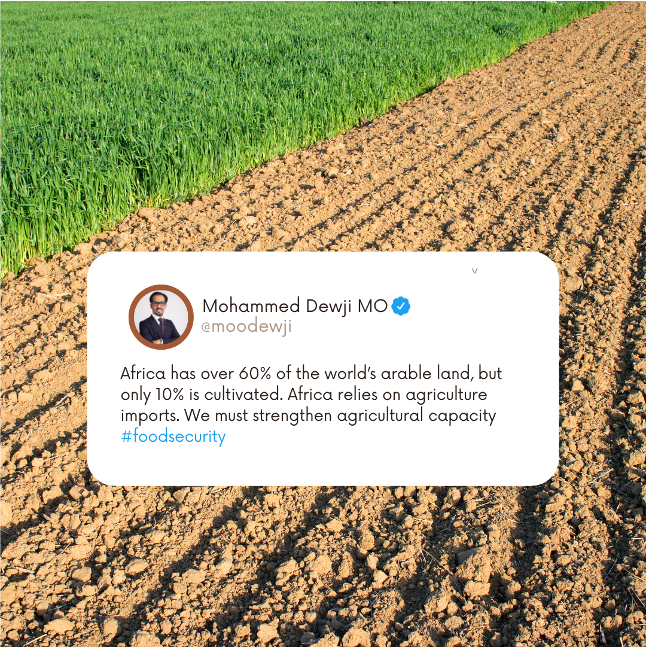 MeTL_Group's tweet photo. Africa has access to 60% of the world's arable land. We must strengthen agricultural capacity and cultivation.

#Mo #MeTL #MoTweets #MoQuotes #MoTunagusaMaishaYako https://t.co/3hzzwyQYhi