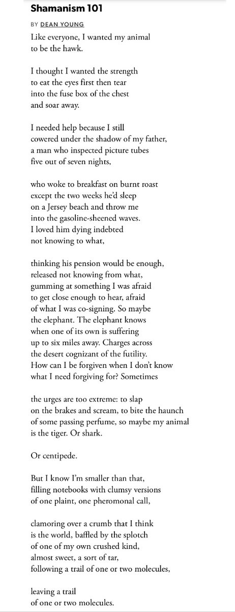 Like everyone, I wanted my animal
to be the hawk. 
—Dean Young