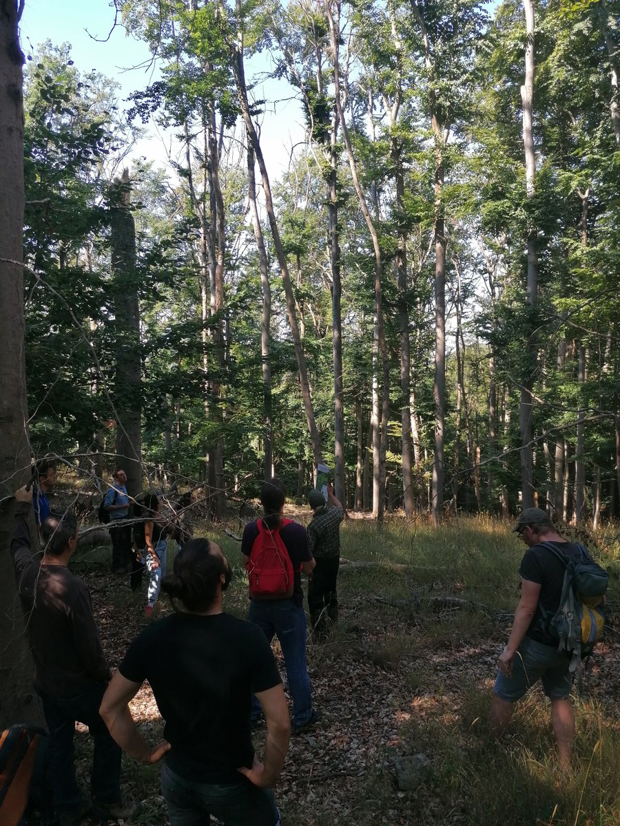 MiguelDMahecha's tweet image. Indeed! I also enjoyed a lot! Thank you Manfred Grossmann from nationalpark-hainich.de/de/service/ans… and Franziska Koebsch @BioclimGoe for this amazing day! We learned a lot! Indispensable information for our #DigitalForest project funded by @VolkswagenSt and @DeepExtremes project.